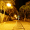 ogu