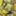 sola_paradox