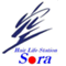 sora248