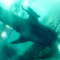 soyokagerrard