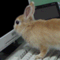 studio_mebius