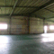 sugita2137