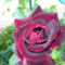 sweethome1208