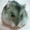 sweety_world