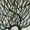 swingroove