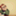 taddy_