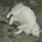 take_nkさん