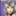 京極堂さん