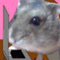 taro12341