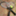 tennis55