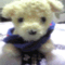 teruban3010