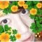 thankyou_sankyu