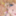 tn__net