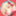 torahouseさん