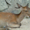 toretatekitokito