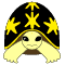tortoise_style