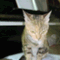 wanda_blog