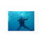 wfswfsjp