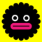 wiki_text