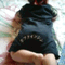xxwild_catxx