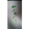 yamatospring