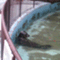 yo_chi_mi_1216