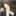 yonsama_yukiguni