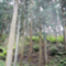yosinogarden2514����