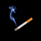 youichiinvestor����