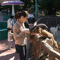 yukichi13