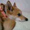 zumizumi2005net